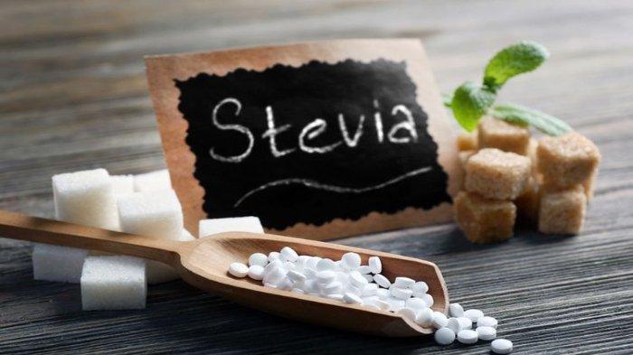 Stevia Sugar